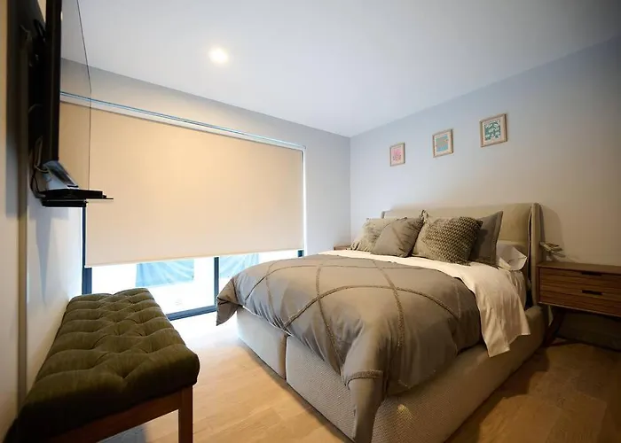Luxury Chic& Cozy In Heart Of Roma Norte